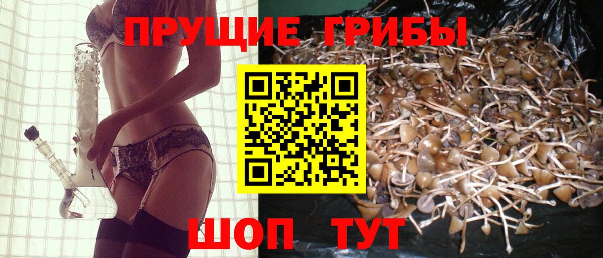 Псилоцибиновые грибы мицелий  Вход с VPN  Воркута 